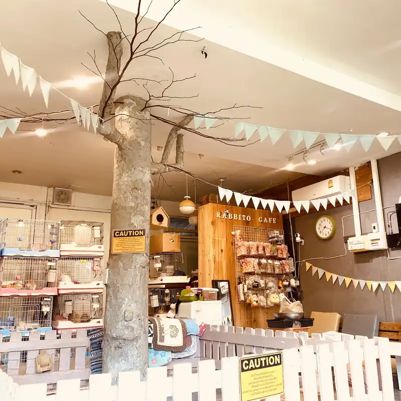 Inside Rabbito Cafe: rabbit pens, a tree trunk and bunting