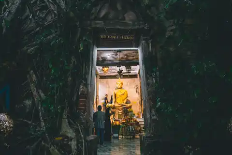 Temple in the Tree